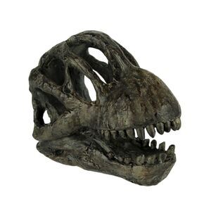 6 inch Brachiosaurus Dinosaur Skull Fossil Statue Resin Brown Office Desk Décor